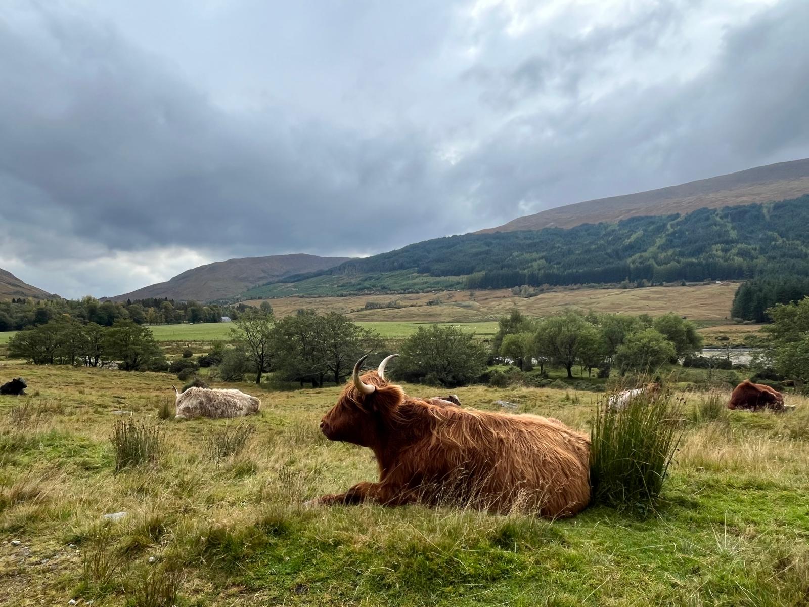 Scottish Highlands